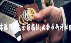中本聪的钱包余额揭秘：比特币的神秘财富